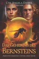 Das Geheimnis des Bernsteins: Abenteuerreise unter der Erde B0C2S9T64N Book Cover