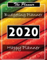 Budget Planner 2020: Financial planner organizer budget book 2020, Yearly Monthly Weekly & Daily budget planner, Fixed & Variable expenses tracker, Sinking Funds tracker, Income & Savings tracker, Hap 1660392659 Book Cover