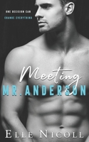 Meeting Mr Anderson B095GQG7HN Book Cover