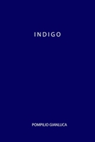 INDIGO B0BHLCJDZP Book Cover