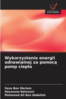 Wykorzystanie energii odnawialnej za pomoca pomp ciepla (Polish Edition) 6630416805 Book Cover