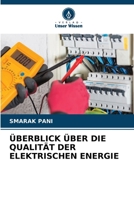 Überblick Über Die Qualität Der Elektrischen Energie (German Edition) 6209929656 Book Cover