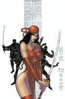 Elektra: The Hand TPB (Elektra (Graphic Novels)) 0785115943 Book Cover