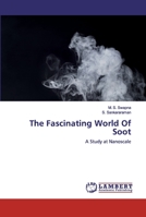 The Fascinating World Of Soot: A Study at Nanoscale 6202516917 Book Cover
