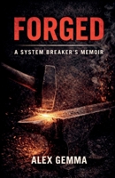 Forged: A System Breaker's Memoir B0GWMRH88L Book Cover
