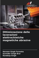 Ottimizzazione delle lavorazioni elettrochimiche magnetiche abrasive 6205864681 Book Cover