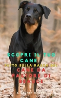 Scopri il tuo Cane :Tutto sulla razza del Cane da pastore di Beauce (Italian Edition) B0FF44N21H Book Cover