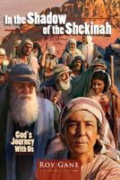 In the Shadow of the Shekinah: God's Journey with Us 0828024219 Book Cover