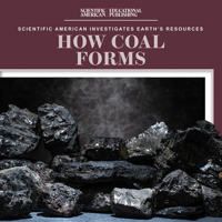 How Coal Forms 1725352648 Book Cover