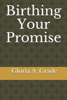 Birthing Your Promise B08FP2BVJJ Book Cover