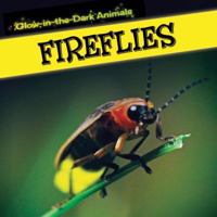 Glow-in-the-Dark Fireflies 1499401140 Book Cover