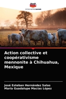 Action collective et coopérativisme mennonite à Chihuahua, Mexique 6203538736 Book Cover
