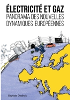 Électricité et gaz : panorama des nouvelles dynamiques européennes 2322377465 Book Cover