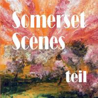 Somerset Scenes 0906374464 Book Cover