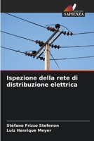 Ispezione della rete di distribuzione elettrica (Italian Edition) 6209780083 Book Cover