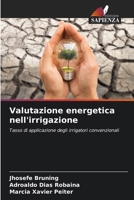 Valutazione energetica nell'irrigazione (Italian Edition) 6207870689 Book Cover
