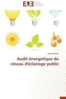 Audit A(c)Nergetique Du Ra(c)Seau D'A(c)Clairage Public 3838185196 Book Cover