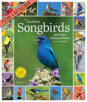 Audubon Songbirds and Other Backyard Birds Picture-A-Day Wall Calendar 2023: A Beautiful Bird Filled Way to Keep Track of 2023 1523516763 Book Cover