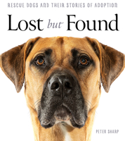 Lost But Found 1760786098 Book Cover