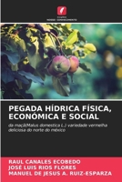 Pegada Hídrica Física, Económica E Social (Portuguese Edition) 6208086035 Book Cover