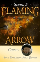 Flaming Arrow: Series 3 B08HSC1CKB Book Cover