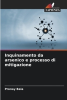 Inquinamento da arsenico e processo di mitigazione 6205802805 Book Cover