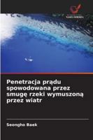 Penetracja pradu spowodowana przez smuge rzeki wymuszona przez wiatr (Polish Edition) 6209391680 Book Cover