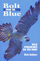 Bolt from the Blue: Wild Peregrines on the Hunt: 1 0888394349 Book Cover