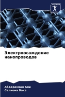 Электроосаждение наноп&# 6205833301 Book Cover