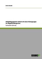Heilpädagogische Arbeit mit einer Kleingruppe im Regelkindergarten 3656091358 Book Cover