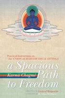 A Spacious Path to Freedom: Practical Instructions on the Union of Mahamudra and Atiyoga 1559390719 Book Cover
