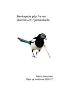 Bevingede pip fra en skamskudt hjerneskade 8771884718 Book Cover