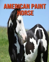 American Paint Horse: Beautiful Pictures & Interesting Facts Children Book About American Paint Horse B08KHGDVFF Book Cover