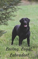 Loving, Loyal, Labrador! A5 notebook / gift 1673632130 Book Cover