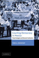 Courting Democracy in Mexico: Party Strategies and Electoral Institutions 0521035880 Book Cover