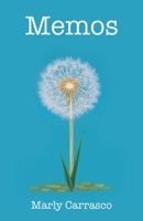 Memos B0C9LB15YS Book Cover