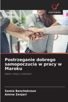 Postrzeganie dobrego samopoczucia w pracy w Maroku (Polish Edition) 6208358736 Book Cover