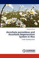 Ascorbate Peroxidase and Ascorbate Regeneration System in Rice 3847318659 Book Cover