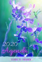 2020 Agenda - Tesoros de Sabidur�a - Orqu�deas Y Mariposas: Con Un Pensamiento Motivador O Un Vers�culo de la Biblia Para Cada D�a del A�o 1632641720 Book Cover