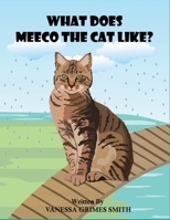What Does Meeco The Cat Like? B0B86SK8PN Book Cover