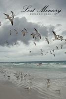 Lost Memory 1456721496 Book Cover