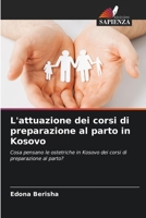 L'attuazione dei corsi di preparazione al parto in Kosovo (Italian Edition) 6202335122 Book Cover