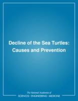 Decline Of The Sea Turtles: Causes And Prevention