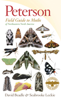 Peterson Field Guide to Moths of Northeastern North America 0547238487 Book Cover