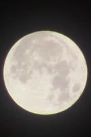 Wanderer’s Notebook: Full Moon 1731535007 Book Cover