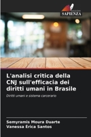 L'analisi critica della CNJ sull'efficacia dei diritti umani in Brasile (Italian Edition) 6208167876 Book Cover