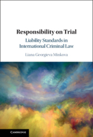 Responsibility on Trial: Liability Standards in International Criminal Law 1009320173 Book Cover