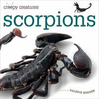 Scorpions (Creepy Creatures) 0898125685 Book Cover