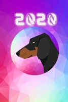2020: Daschund Daily Planner Diary 1712373641 Book Cover