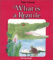 What Is A Reptile - Pbk (Now I Know) 0893756725 Book Cover